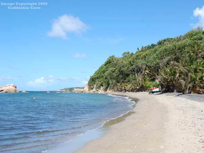 Calibishie Cove Hotel Fasilitas foto