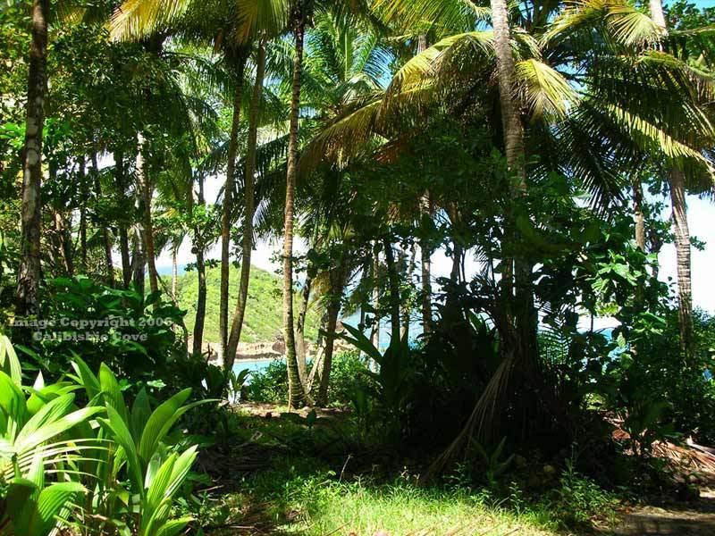 Calibishie Cove Hotel Bagian luar foto