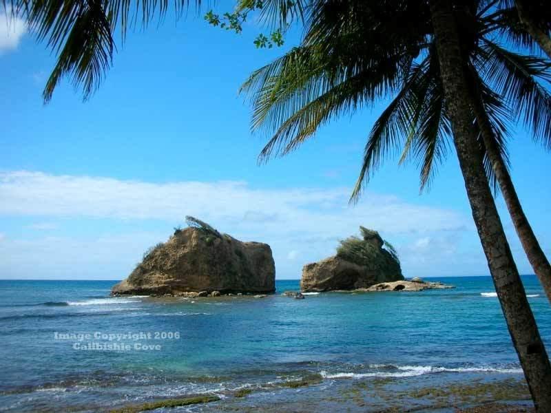 Calibishie Cove Hotel Bagian luar foto