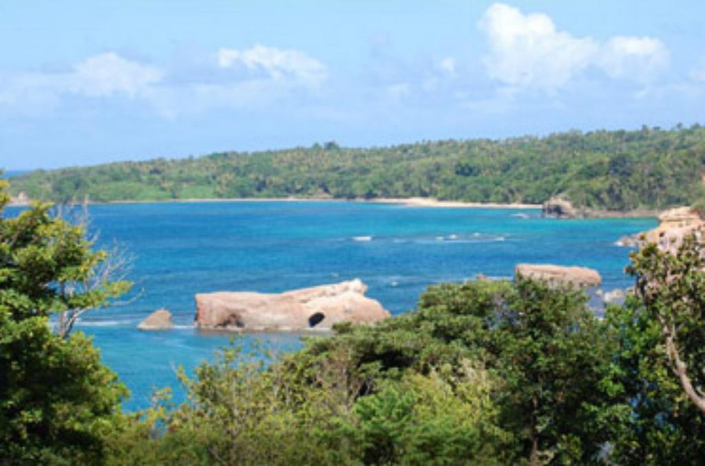 Calibishie Cove Hotel Bagian luar foto